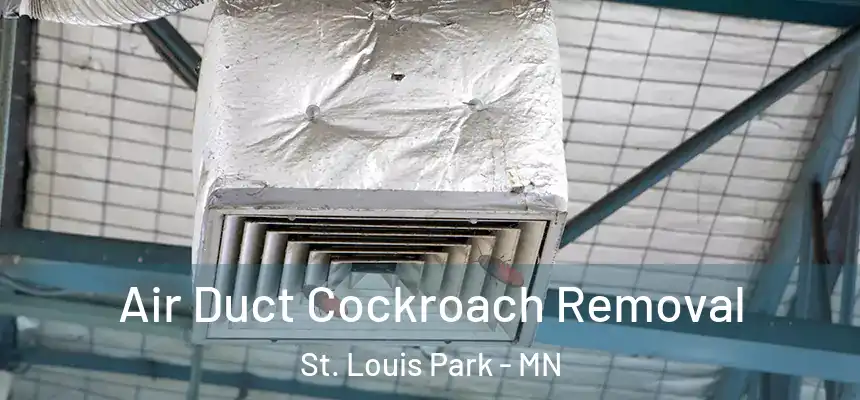  Air Duct Cockroach Removal St. Louis Park - MN