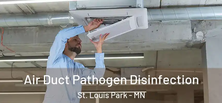 Air Duct Pathogen Disinfection St. Louis Park - MN