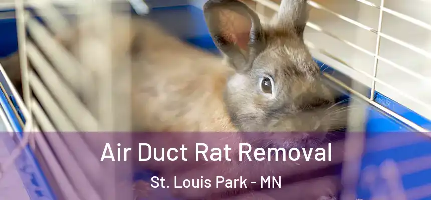 Air Duct Rat Removal St. Louis Park - MN