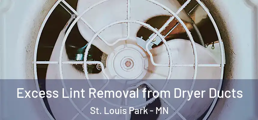 Excess Lint Removal from Dryer Ducts St. Louis Park - MN
