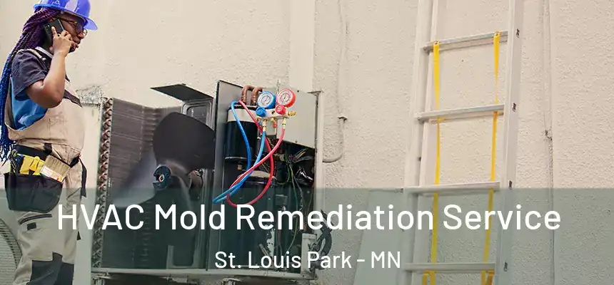 HVAC Mold Remediation Service St. Louis Park - MN