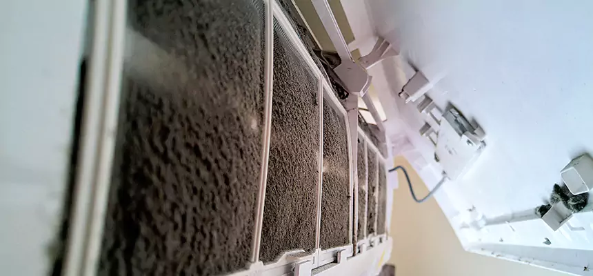 Preventive Air Duct Bacteria Removal in St. Louis Park