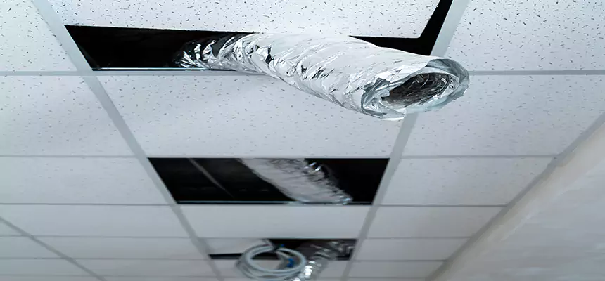 Affordable HVAC Sanitizing After Pest Removal in St. Louis Park