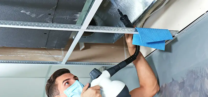 Our Air Duct Rodent Removal Services in St. Louis Park, MN