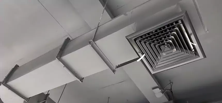 Our Pest Removal From Ducts Services in St. Louis Park, MN