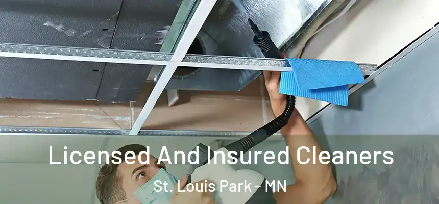 Licensed And Insured Cleaners St. Louis Park - MN