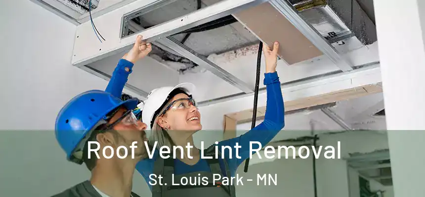 Roof Vent Lint Removal St. Louis Park - MN