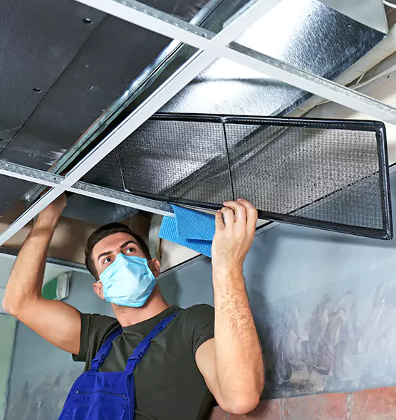About Air Duct Bacteria Removal in St. Louis Park