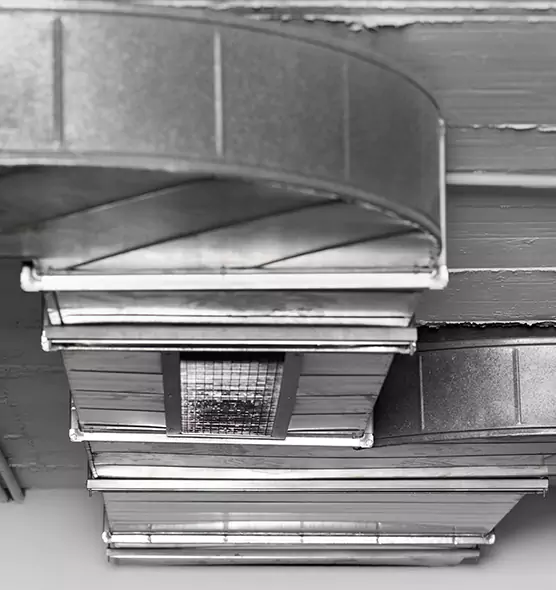 Professional Air Duct Pest Removal in St. Louis Park, MN