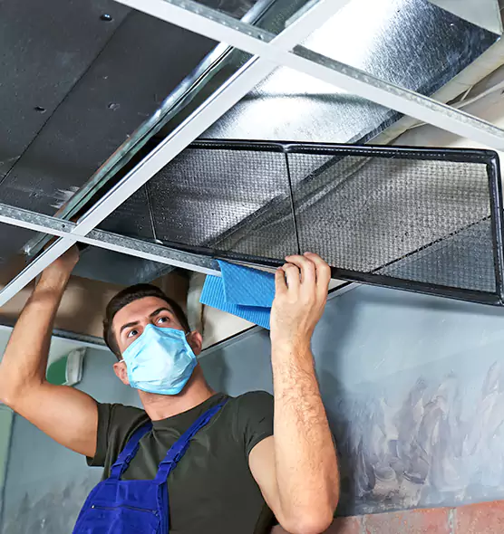 Professional Air Duct Pollen Cleaning in St. Louis Park, MN