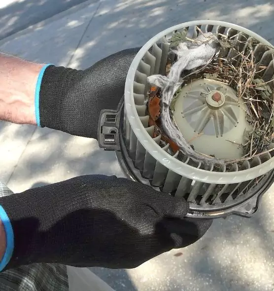 About Air Duct Rat Removal in St. Louis Park, MN