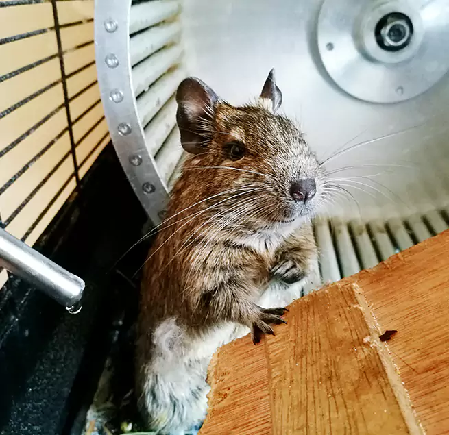 Why Homeowners & Businesses Trust Us St. Louis Park, MN