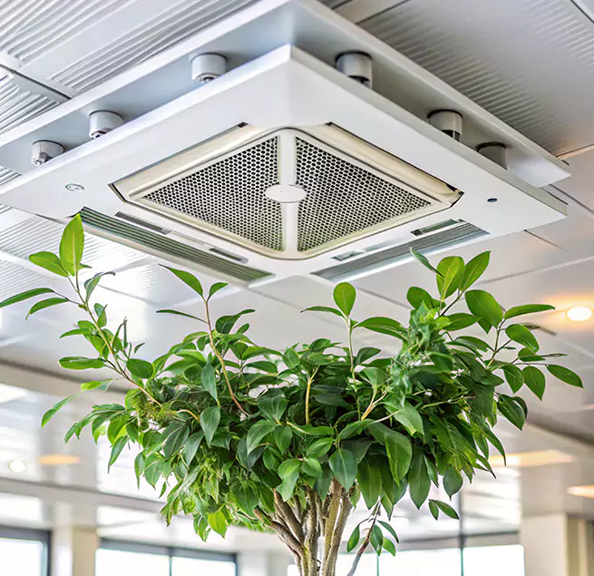 Why Homeowners & Businesses Trust Us in St. Louis Park, MN